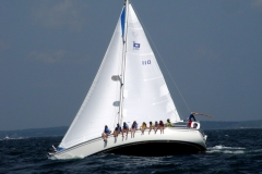 858_bassackward_s_2006_104