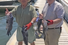 2017 In-Shore Tournament