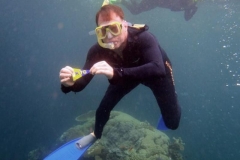 2012 Steve Gordon at the Great Barrier Reef