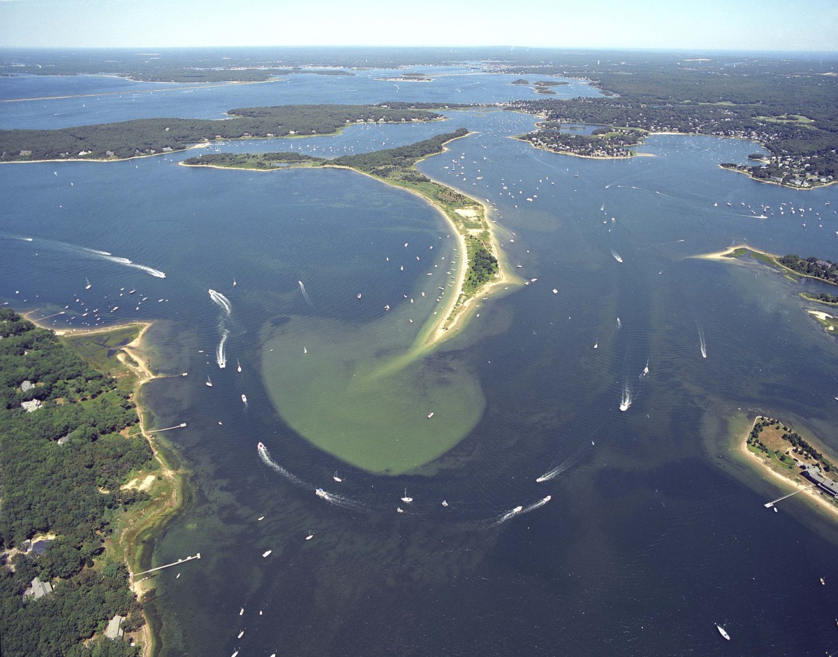 Wings Neck Tide Chart