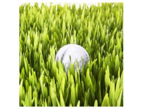 The Kingman Open Golf Tournament @ The Brookside Club | Bourne | Massachusetts | United States